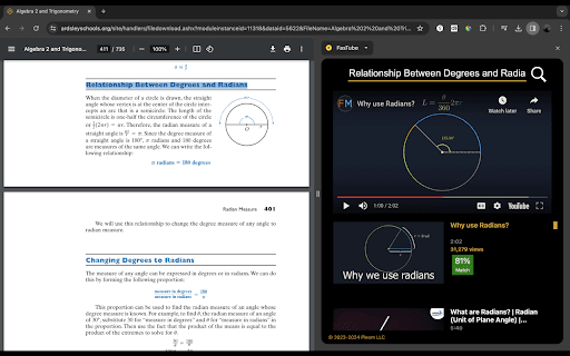 VidZoom - Chrome Extension