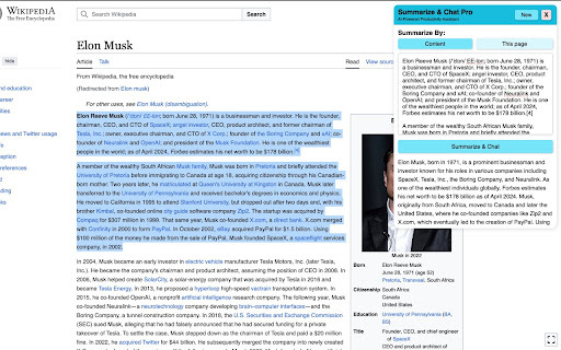 Summarize &amp; Chat Pro - Chrome Extension