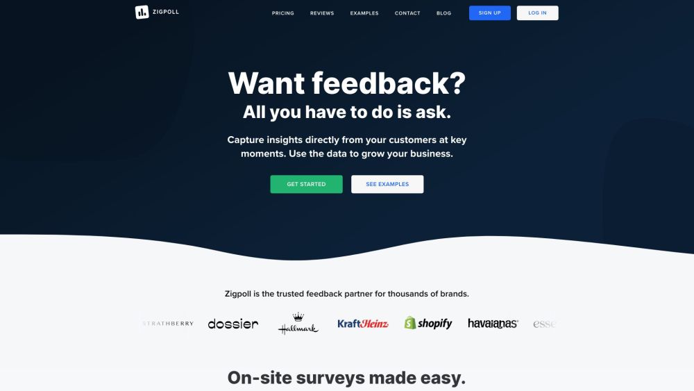 Zigpoll - Survey & Feedback Platform